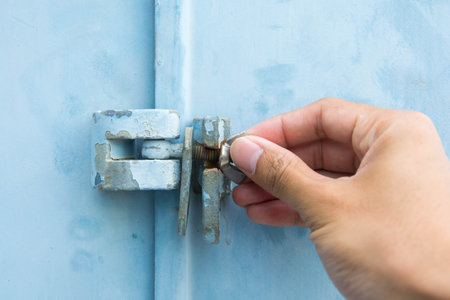 Bolt and wing nut lock