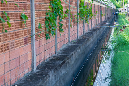 Red brickwall close up background