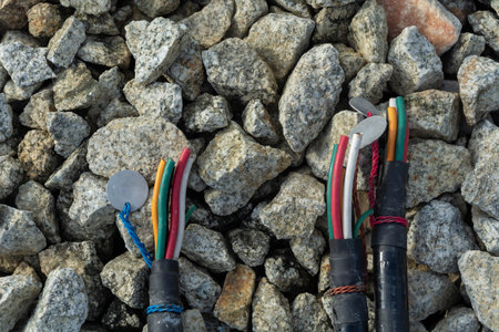 Cable bunch at substation. Electrical wires.