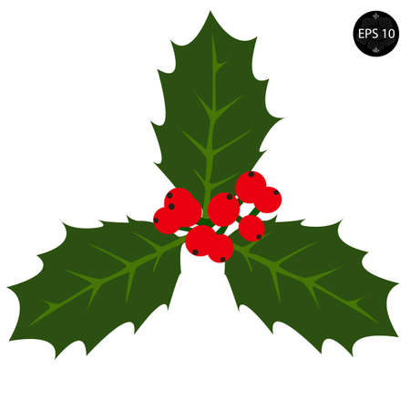 Holly berry - Christmas vector symbolのイラスト素材