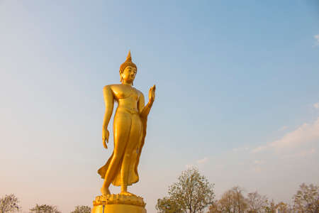 Golden buddhaの写真素材