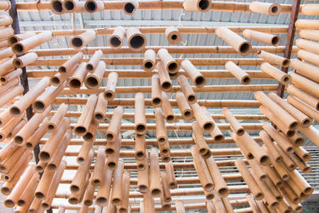 bamboo backgroundの写真素材