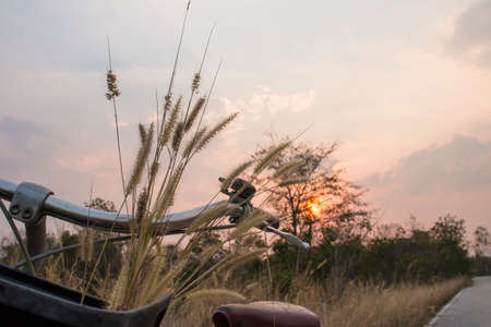 Vintage bicycleの写真素材