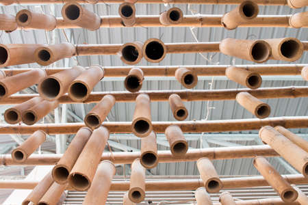 bamboo backgroundの写真素材