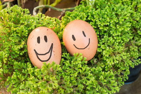 Egg and green grassの写真素材