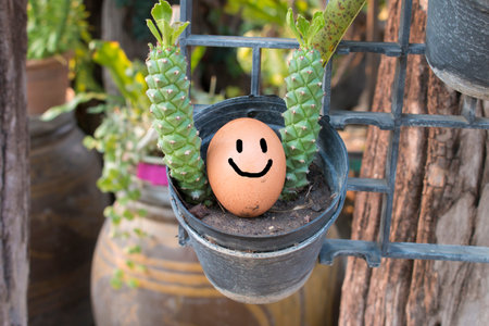 hello easterの写真素材