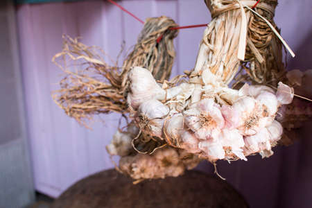 White garlicの写真素材