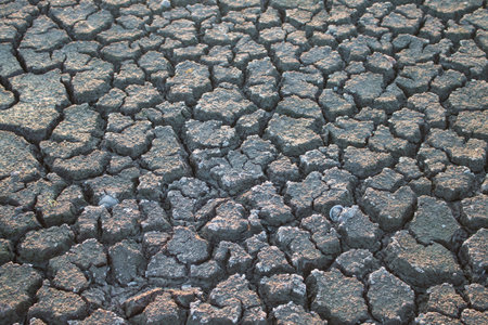 Land with dry and cracked ground,desert