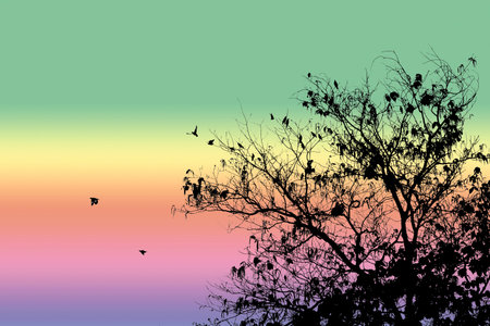 Silhouette of tree on white backgroundの写真素材