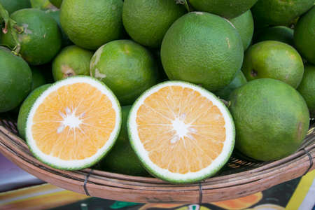 Green tangerine,Thailand fruitの写真素材