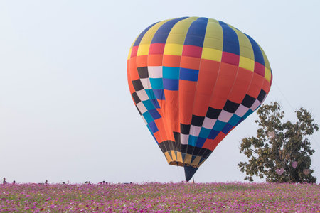 THAILAND FEBRUARY 14, 2017:Singha Park Chiang Rai International Balloon Fiesta 2017 will take place between February 14th and 18th at Singha Park Chiang Rai.の写真素材