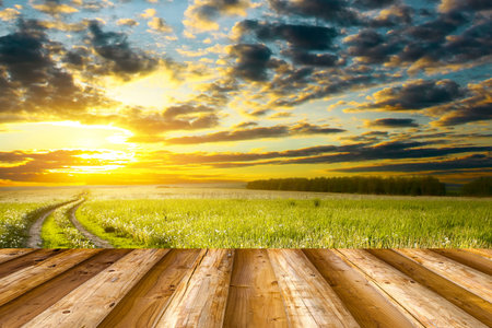 perspective wood with green field and cloud sky backgroundの写真素材