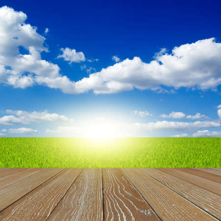 green field under blue sky with wood floorの写真素材