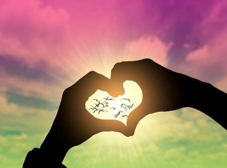 Heart shape hand gesture with blue sky Heart shape hand gesture with blue sky