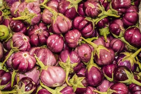 eggplantの写真素材