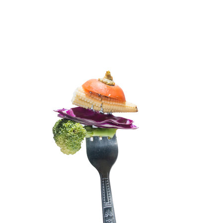 Fork with salad from vegetables isolated on white