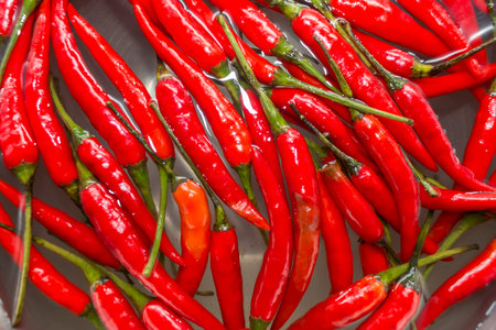 Close up red chili pepper on water