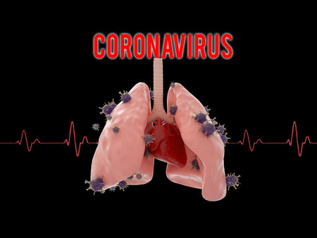 Viruses cell microbiology inflected in lugs,coronavirus conceptの写真素材