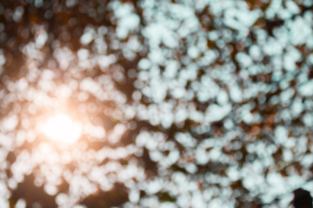 Abstract blurred nature background with bokeh for creative designs. Green leaves bokeh out of focus background from nature forestの写真素材