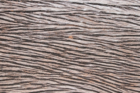 Wood Texture With Natural Pattern