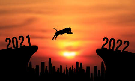 Tiger jumping to 2022の写真素材