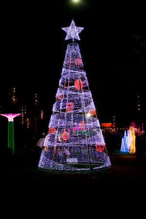 Christmas tree background at nightの写真素材