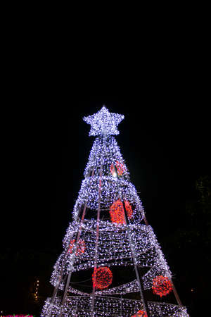 Christmas tree background at nightの写真素材