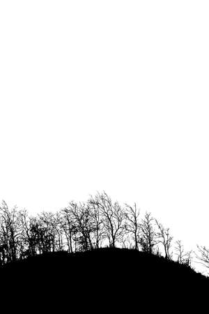 Silhouette tree on white backgroundの写真素材