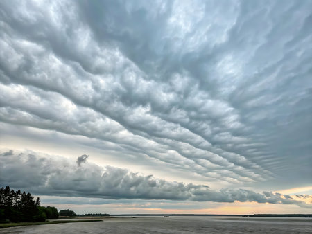 An illustration of stratiform clouds with flat and uniform layers covering the entire sky, creating a soft, moody atmosphere. Perfect for weather illustrations or documentary visuals.の素材