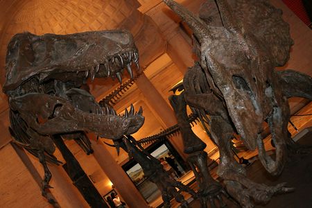 Dinosaur exhibit at Nature History Museum of Los Angelesの写真素材