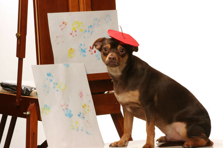 artistic dog with his paw print paintingの写真素材