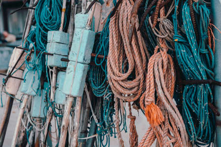 summerの写真素材