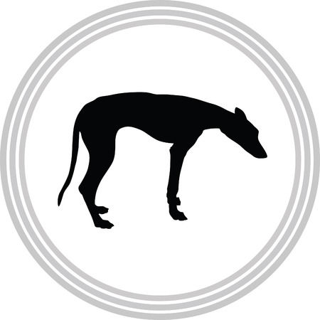 greyhoundのイラスト素材