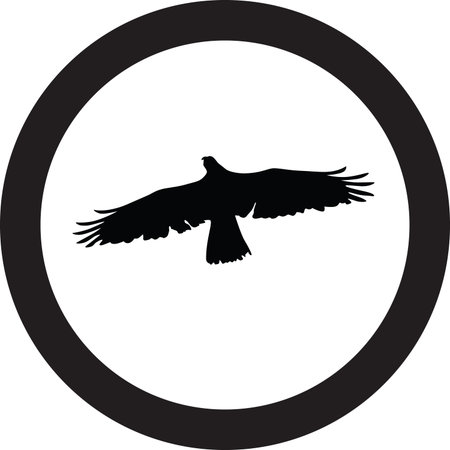 falconのイラスト素材