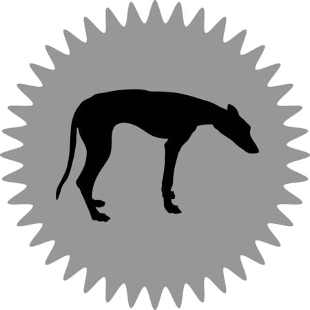 greyhoundのイラスト素材