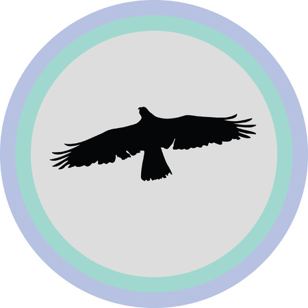 falconのイラスト素材