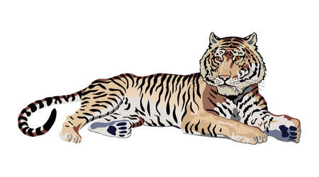 tigerのイラスト素材