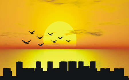 sunset with bird and city silhouetteの写真素材