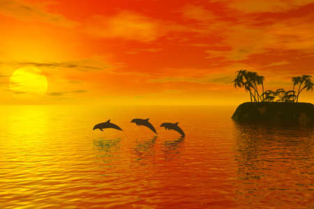 dolphins with tropic sunset behindの写真素材