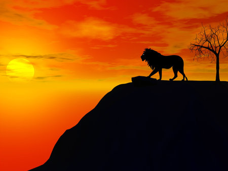 lion silhouette illustrationの写真素材