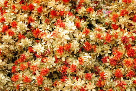 drying flower