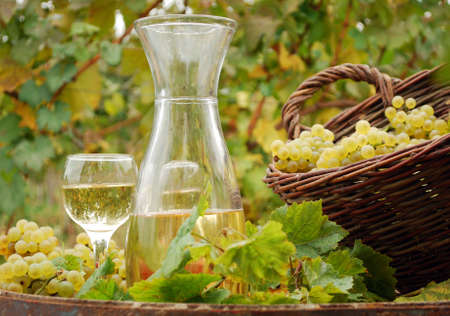 autumn scene with white wine and grapeの写真素材
