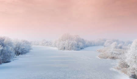 winter landscape with frozen river and forestの写真素材