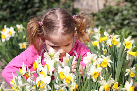 little girl smell flowerの写真素材