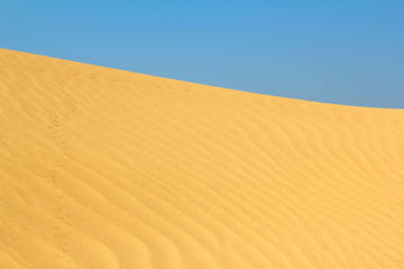 sand dune with small animals tracksの写真素材