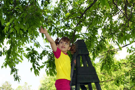 little girl picked from the tree leavesの写真素材