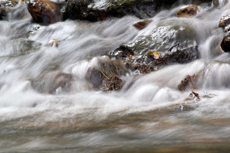 stream nature spring scene