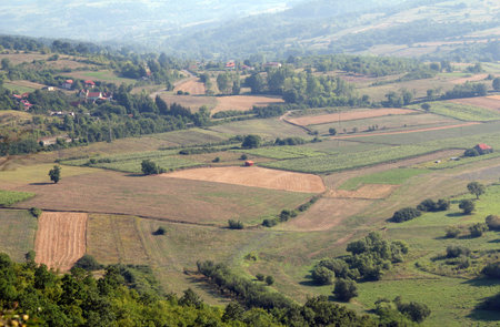 farmland summer landscape nature scene