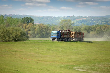 logging truck with cut logs on roadの写真素材