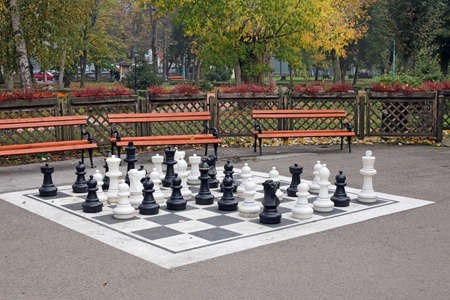 chess figures in park autumn seasonの写真素材